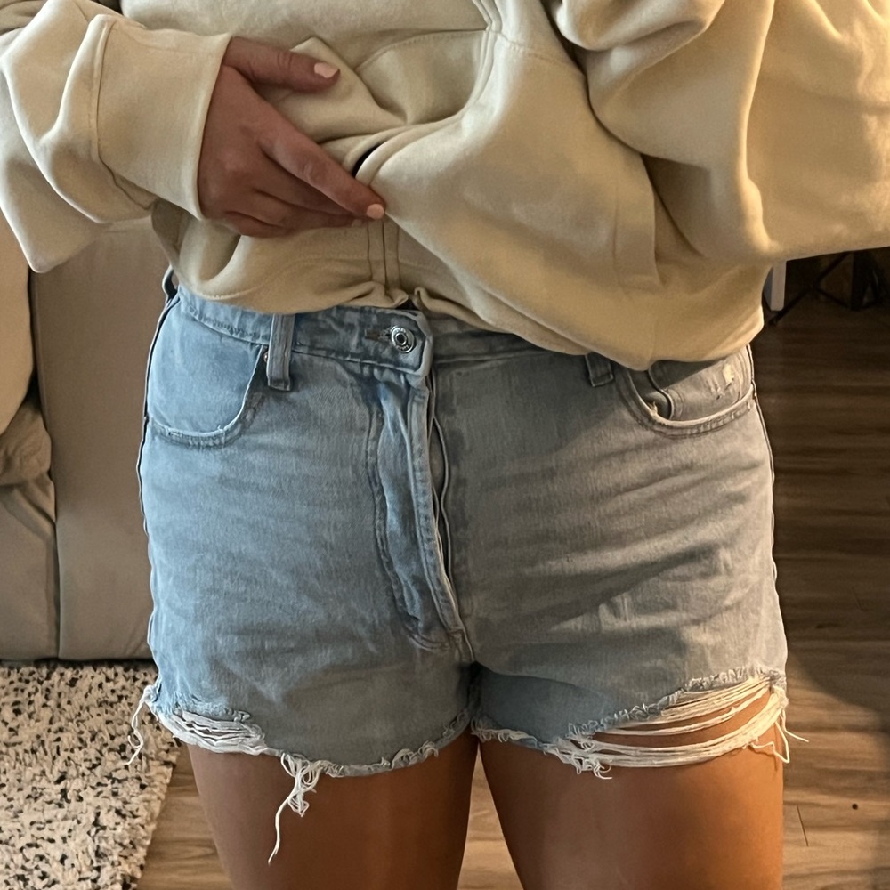 wild fable shorts
